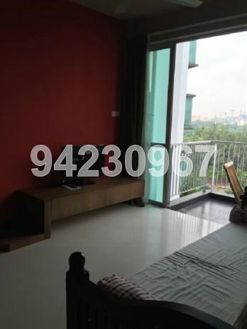 Park Green thumbnail photo